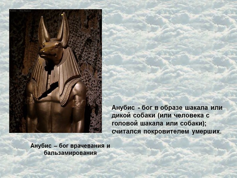 Анубис – бог врачевания и бальзамирования Анубис - бог в образе шакала или дикой